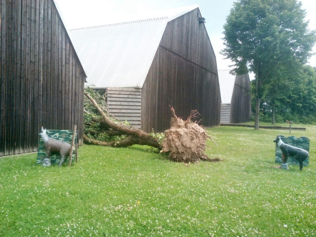 TC Bad Birnbach e. V.