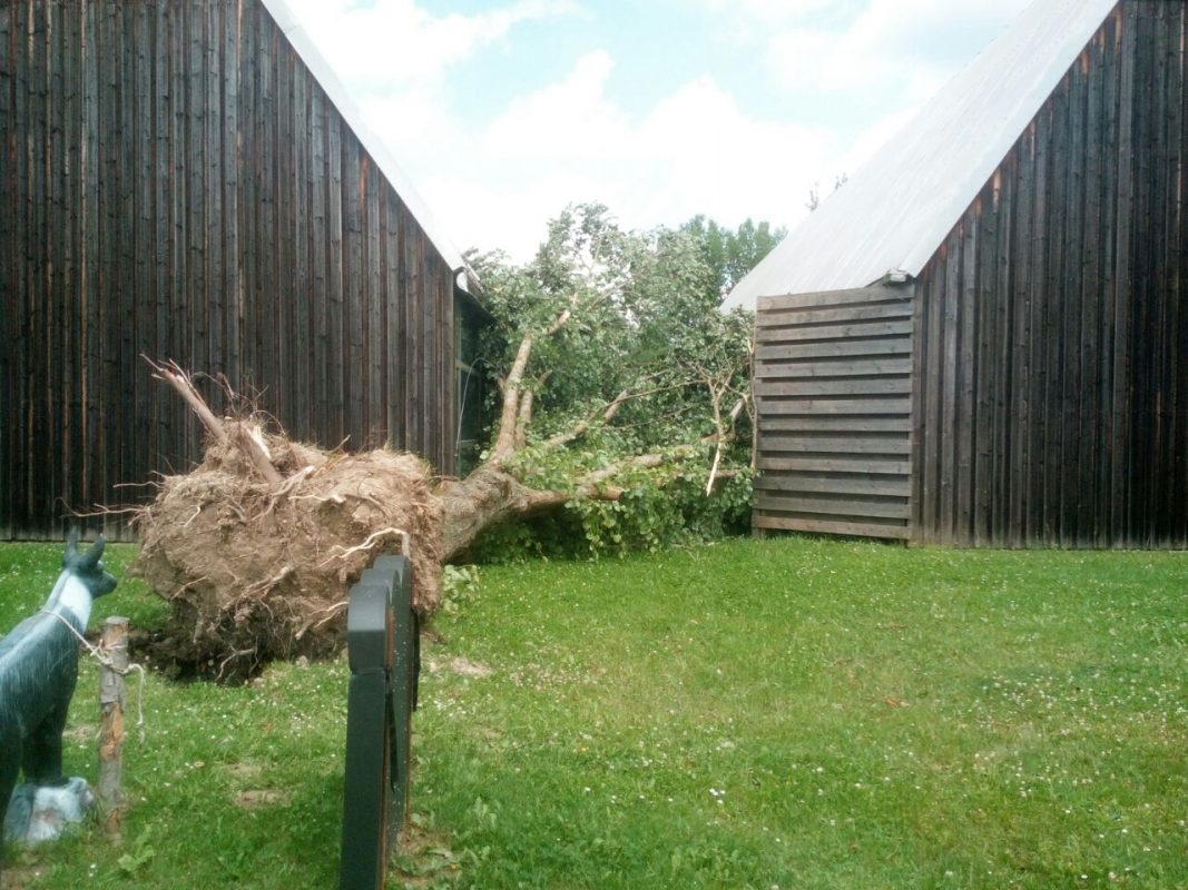 TC Bad Birnbach e. V.
