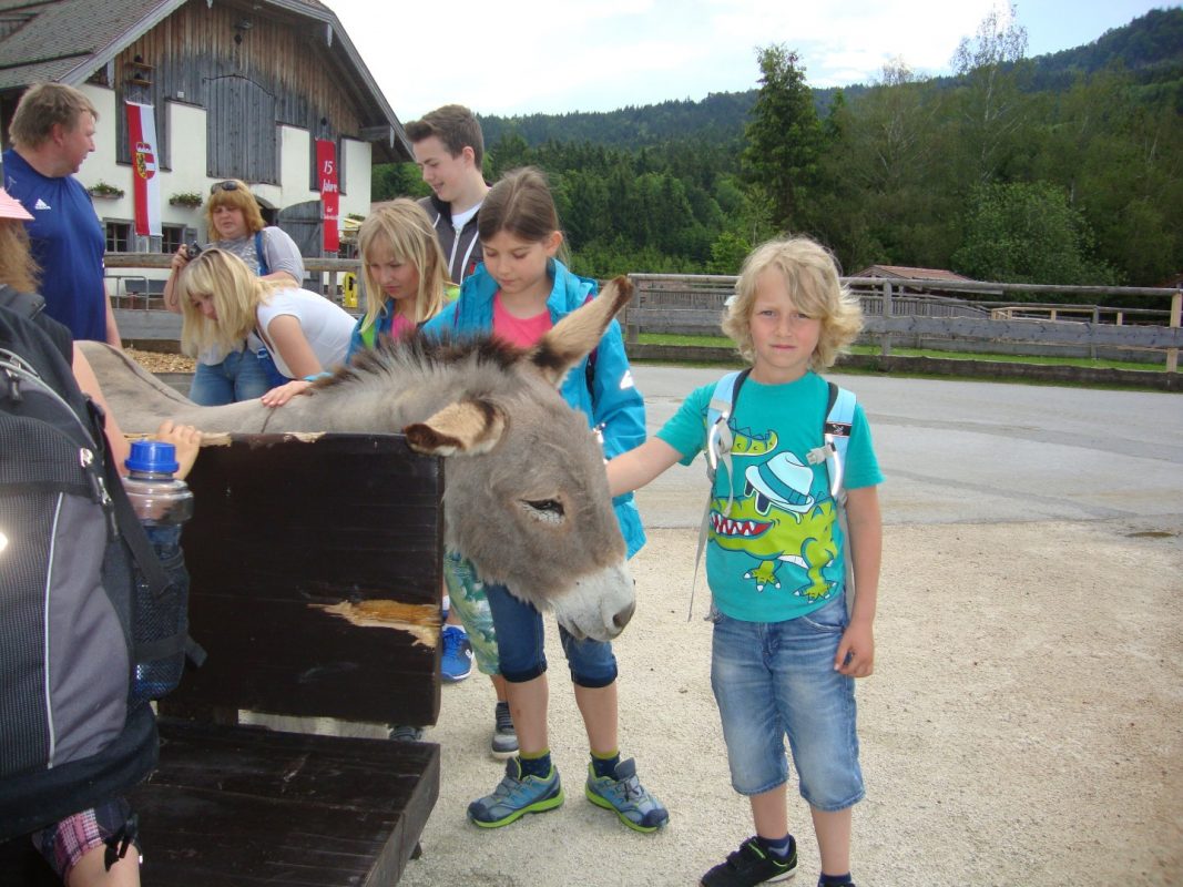 TC Bad Birnbach e. V.